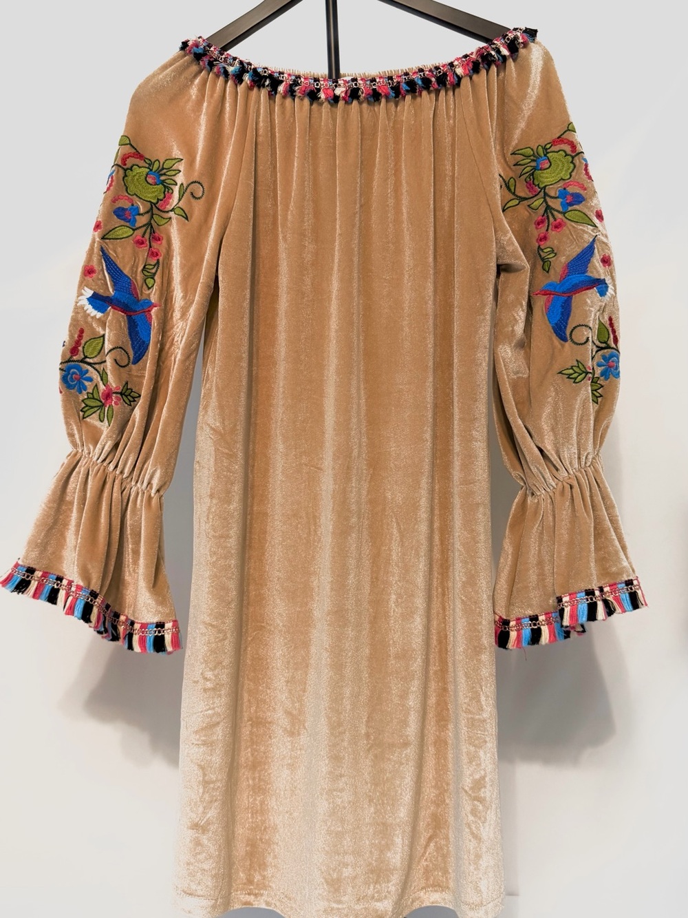 Velzera Beige Velvet One-Shoulder Dress with Multicolor Embroidered Sleeves